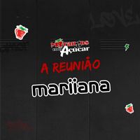 Mariiana - A Reunião