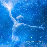 Liquid Mind - Liquid Mind XV: In the Love