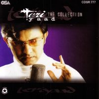 Sajjad Ali - Teri Yaad (The Collection)