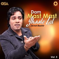 Javed Bashir - Dam Mast Mast Jhoole Lal, Vol. 5