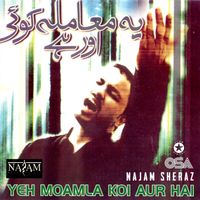 Najam Sheraz - Yeh Moamla Koi Aur Hai