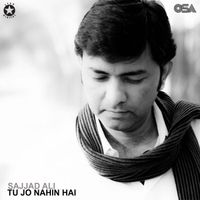 Sajjad Ali - Tu Jo Nahin Hai