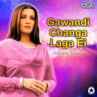 Humera Channa - Gawandi Changa Laga Ei