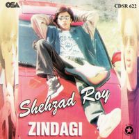 Shehzad Roy - Zindagi, Vol. 4