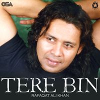 Rafaqat Ali Khan - Tere Bin