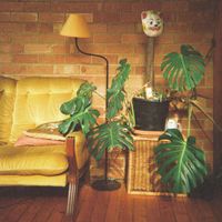 Echo Park - Banana Boat