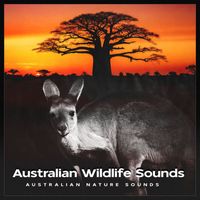 Australian Nature Sounds - Australian Wildlife Sounds