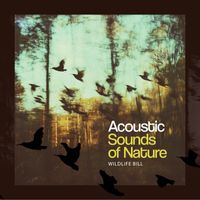 Wildlife Bill - Acoustic Sounds of Nature
