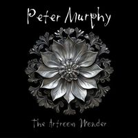 Peter Murphy - The Artroom Wonder