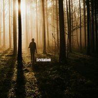 Olive - Levitation