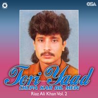 Riaz Ali Khan - Teri Yaad Chupa Kar Dil Mein, Vol. 2