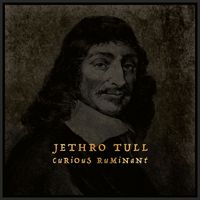 Jethro Tull - Curious Ruminant