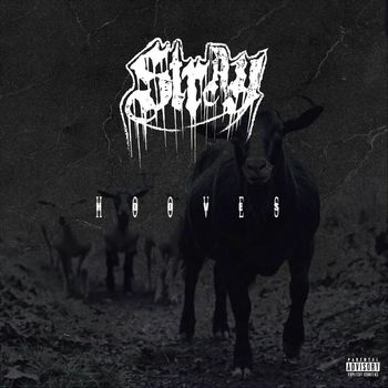 Stray - Hooves (Explicit)
