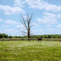 Angel Beats - Changes