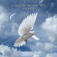 Liquid Mind - Liquid MInd XII: Peace