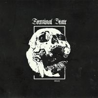 Terminal State - Demo