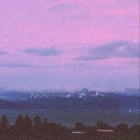 Animal Eyes - Blue Crush