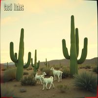 Another Nelson - Cacti Itches