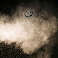 William Edessa - Lumen