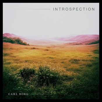 Carl Borg - Introspection