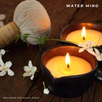 Wellness Spa Music Oasis - Water Mind: Therapy Music