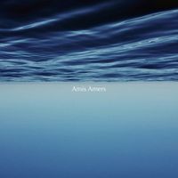 The Puzzle - Amis Amers