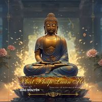 Bảo Nguyên - Phật Pháp Luân Hồi