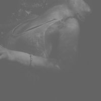 Allicorn - Flood