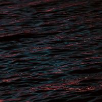 Bozandmonstrr - RUPTUR