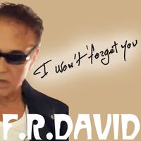 F.R. David - I WON'T FORGET YOU