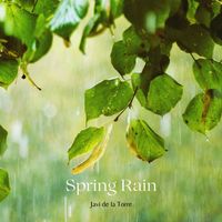 Javi de la Torre - Spring Rain