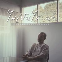 ชรัส เฟื่องอารมย์ - ไม่เป็นไร...นะ