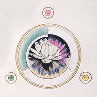 marion - Lotus Island