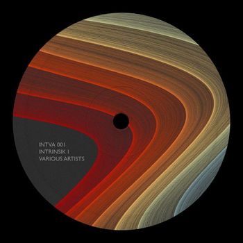 Various Artists - INTRINSIK I