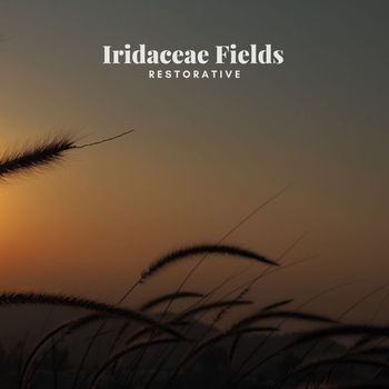 Iridaceae Fields - Restorative