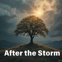 Evo - After the Storm