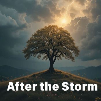 Evo - After the Storm