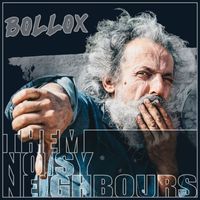 Them Noisy Neighbours - Bollox