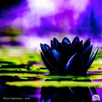 Blaze Luminous - Now