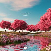 shandr - Wishing Well