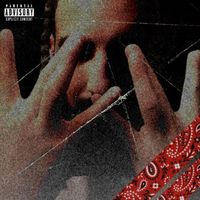 Justin Time - WILDWILD BLIXKY (Explicit)