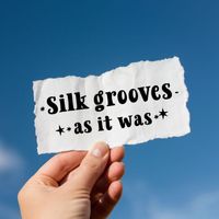 Silk Grooves - As It Was