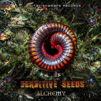 Sensitive Seeds and Earthworm - Alchemy