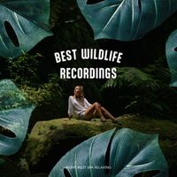 Wildlife Bill - Best Wildlife Recordings