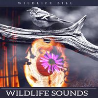 Wildlife Bill - Wildlife Sounds