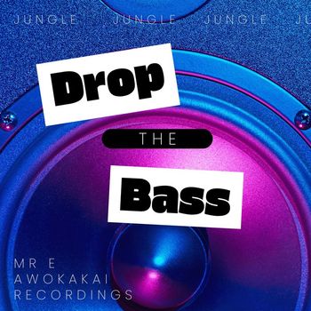 MR E - Drop The Bass