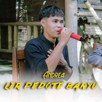 Andrea - Lir Pedote Banyu