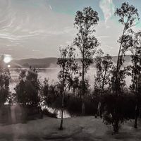 Dilkeş Kardar - Umrumda Değil