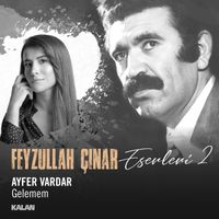 Ayfer Vardar - Gelemem (Feyzullah Çınar Eserleri 2)