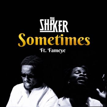 Shaker - Sometimes